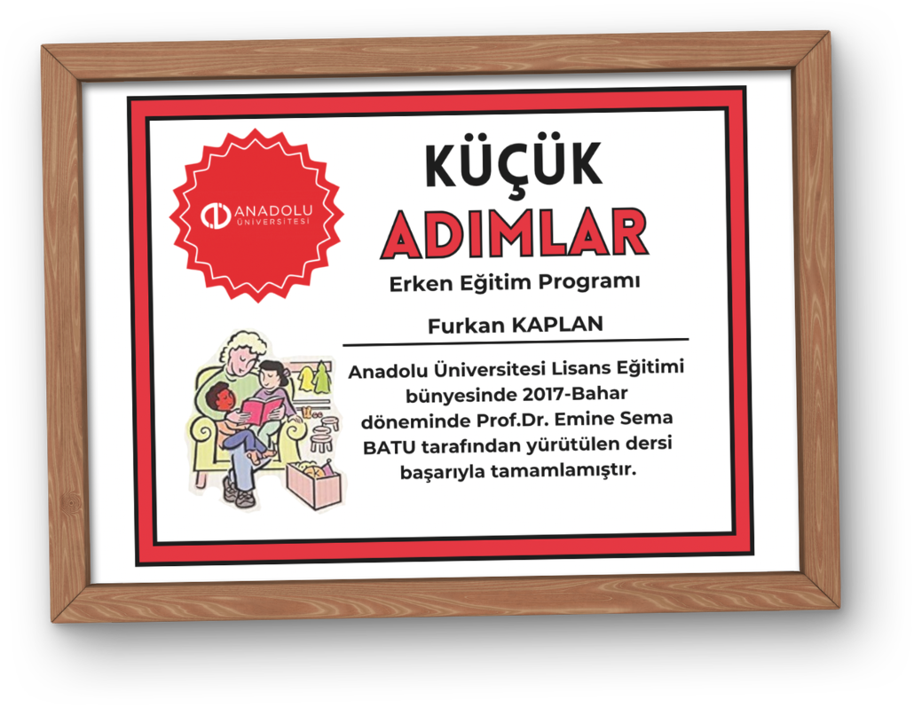 Küçük Adımlar Erken Eğitim Programı