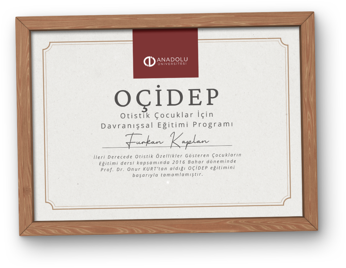 OÇİDEP - Otistik Çocuklar İçin Davranışsal Eğitimi Programı